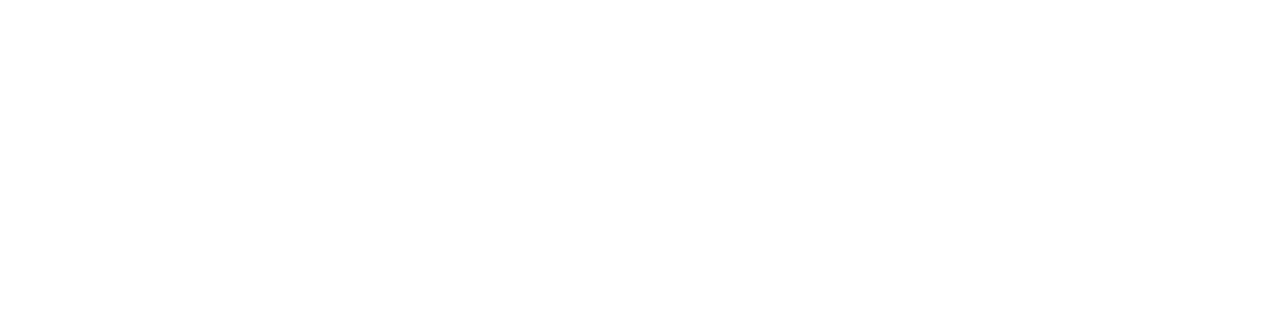 Logo-Schillinggruppe-weiß